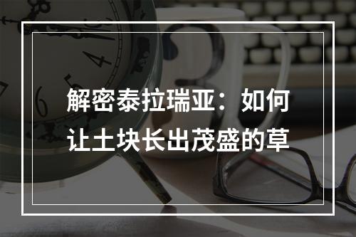 解密泰拉瑞亚：如何让土块长出茂盛的草