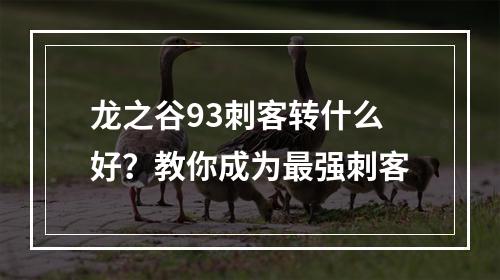 龙之谷93刺客转什么好？教你成为最强刺客