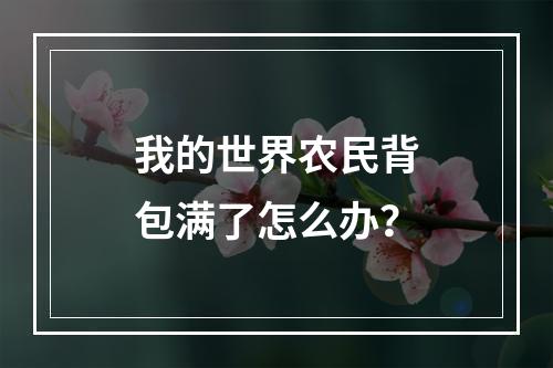 我的世界农民背包满了怎么办？