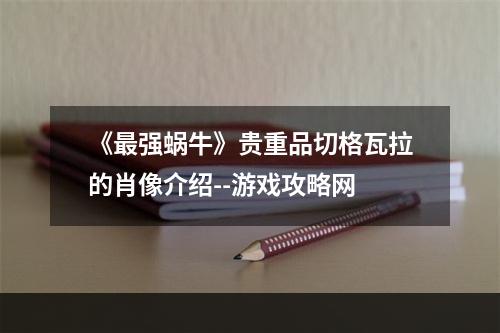 《最强蜗牛》贵重品切格瓦拉的肖像介绍--游戏攻略网