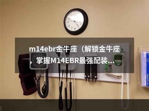 m14ebr金牛座（解锁金牛座，掌握M14EBR最强配装攻略）