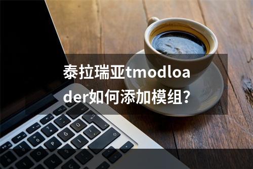 泰拉瑞亚tmodloader如何添加模组？