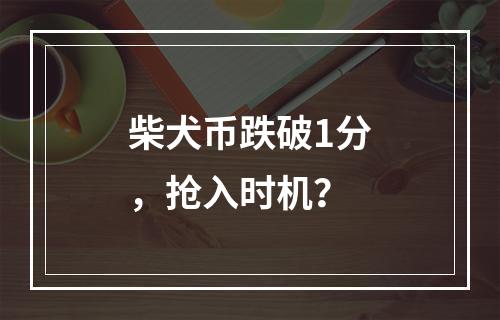 柴犬币跌破1分，抢入时机？