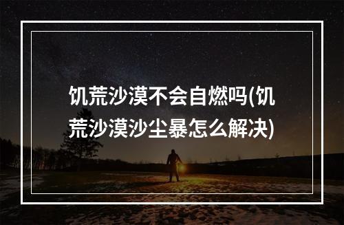 饥荒沙漠不会自燃吗(饥荒沙漠沙尘暴怎么解决)