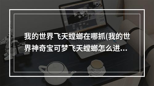 我的世界飞天螳螂在哪抓(我的世界神奇宝可梦飞天螳螂怎么进化)