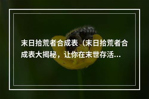 末日拾荒者合成表（末日拾荒者合成表大揭秘，让你在末世存活更加轻松！）