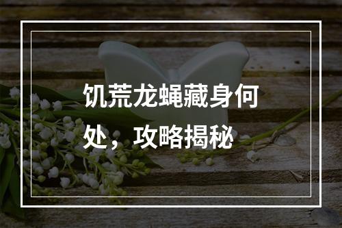 饥荒龙蝇藏身何处，攻略揭秘