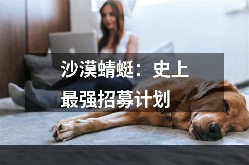 沙漠蜻蜓：史上最强招募计划