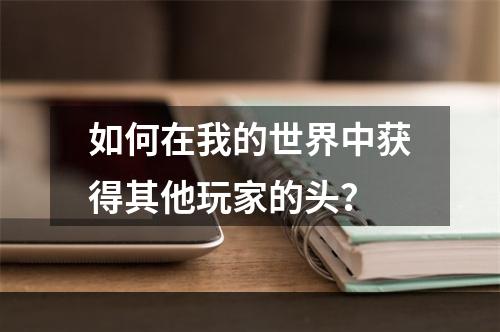 如何在我的世界中获得其他玩家的头？