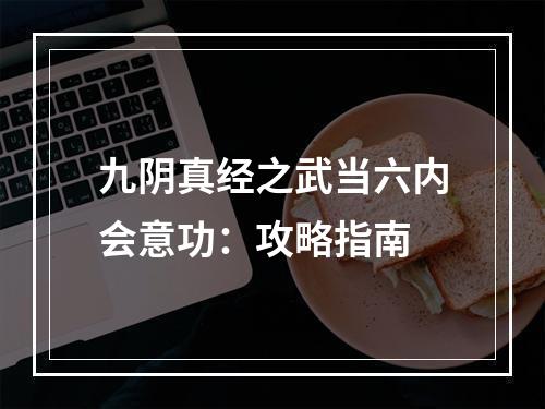 九阴真经之武当六内会意功：攻略指南