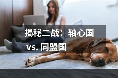 揭秘二战：轴心国 vs. 同盟国