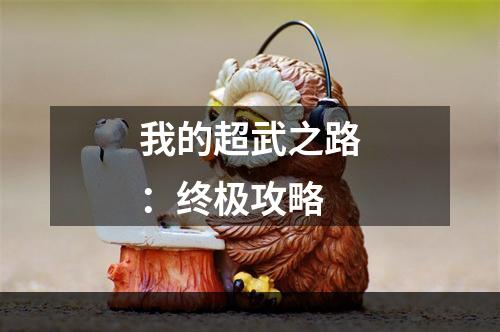 我的超武之路：终极攻略