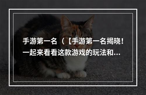 手游第一名（【手游第一名揭晓！一起来看看这款游戏的玩法和攻略】）