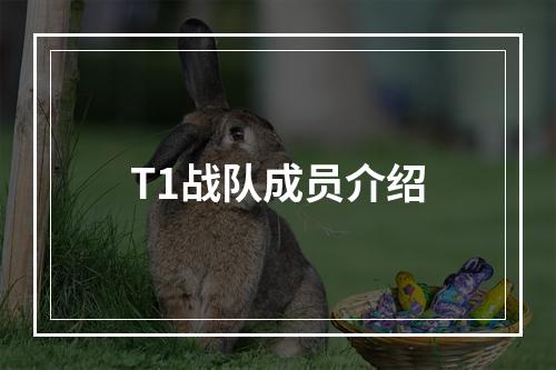 T1战队成员介绍