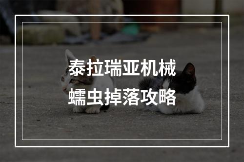 泰拉瑞亚机械蠕虫掉落攻略