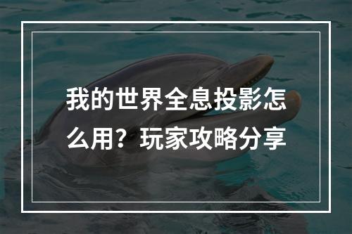 我的世界全息投影怎么用？玩家攻略分享