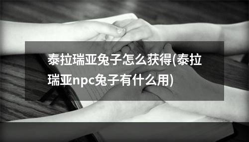 泰拉瑞亚兔子怎么获得(泰拉瑞亚npc兔子有什么用)