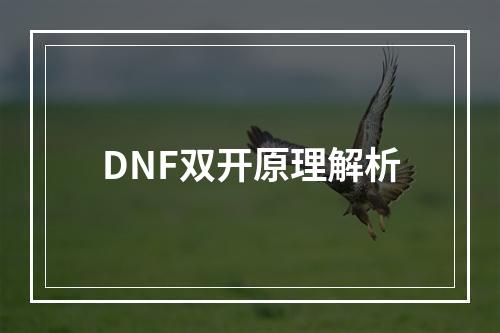 DNF双开原理解析