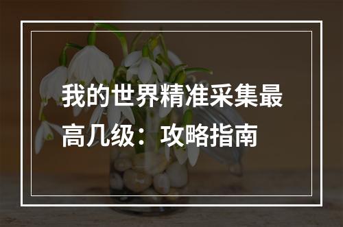 我的世界精准采集最高几级：攻略指南