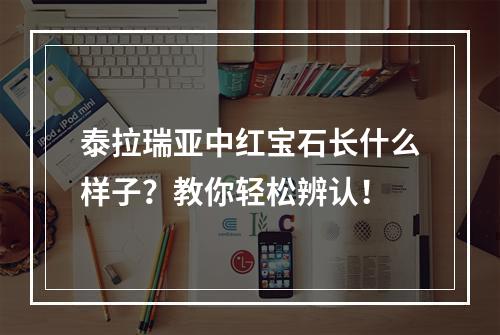 泰拉瑞亚中红宝石长什么样子？教你轻松辨认！