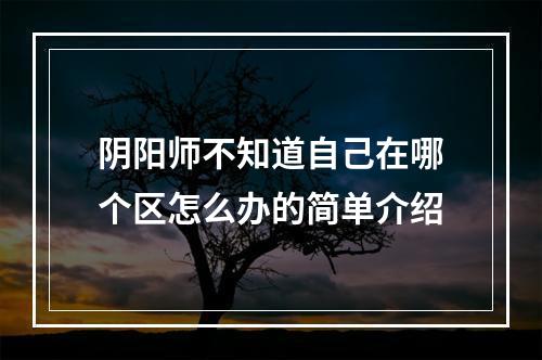 阴阳师不知道自己在哪个区怎么办的简单介绍