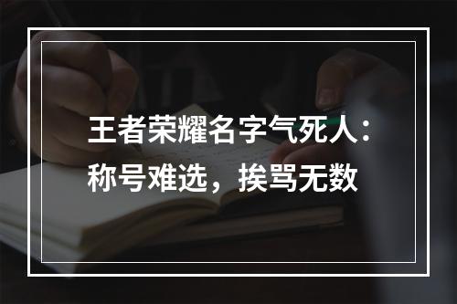 王者荣耀名字气死人：称号难选，挨骂无数