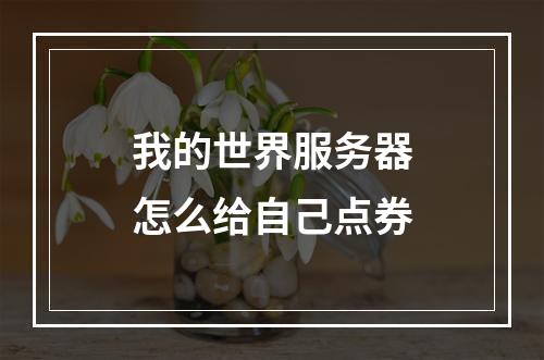 我的世界服务器怎么给自己点券