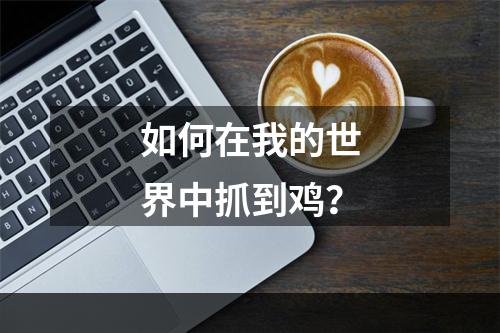 如何在我的世界中抓到鸡？