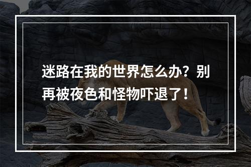 迷路在我的世界怎么办？别再被夜色和怪物吓退了！