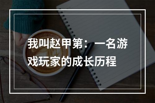 我叫赵甲第：一名游戏玩家的成长历程