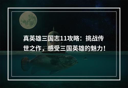 真英雄三国志11攻略：挑战传世之作，感受三国英雄的魅力！