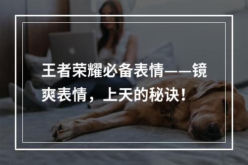 王者荣耀必备表情——镜爽表情，上天的秘诀！