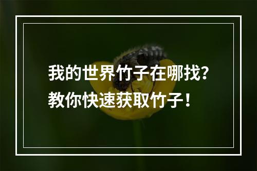 我的世界竹子在哪找？教你快速获取竹子！