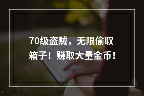 70级盗贼，无限偷取箱子！赚取大量金币！