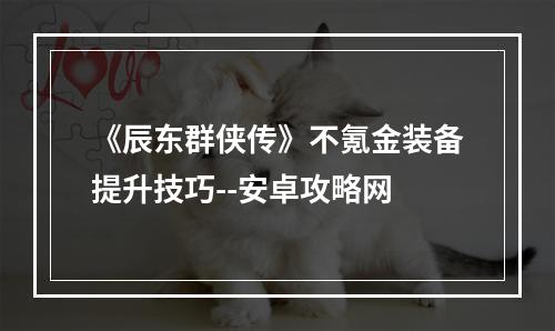 《辰东群侠传》不氪金装备提升技巧--安卓攻略网