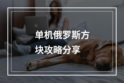 单机俄罗斯方块攻略分享