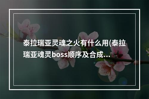 泰拉瑞亚灵魂之火有什么用(泰拉瑞亚魂灵boss顺序及合成)