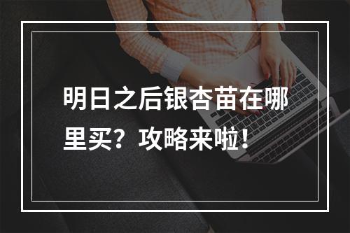 明日之后银杏苗在哪里买？攻略来啦！