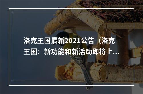 洛克王国最新2021公告（洛克王国：新功能和新活动即将上线！）