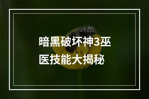 暗黑破坏神3巫医技能大揭秘