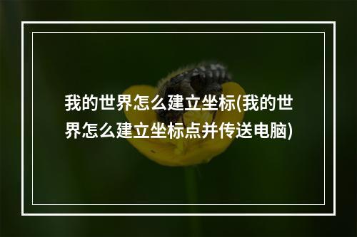 我的世界怎么建立坐标(我的世界怎么建立坐标点并传送电脑)