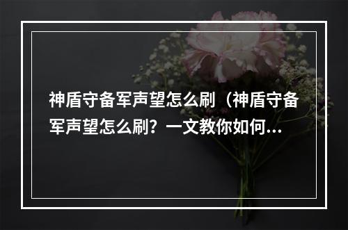 神盾守备军声望怎么刷（神盾守备军声望怎么刷？一文教你如何快速提升声望！）