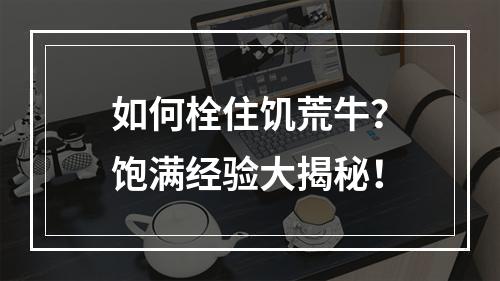 如何栓住饥荒牛？饱满经验大揭秘！