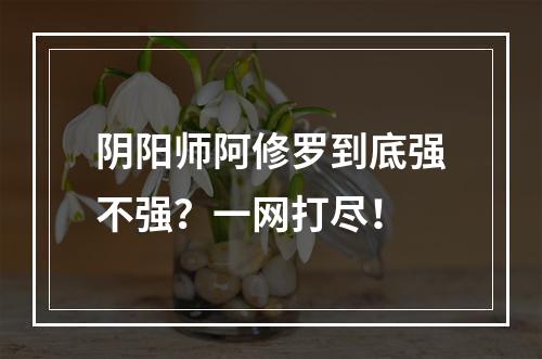 阴阳师阿修罗到底强不强？一网打尽！