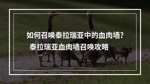 如何召唤泰拉瑞亚中的血肉墙？  泰拉瑞亚血肉墙召唤攻略