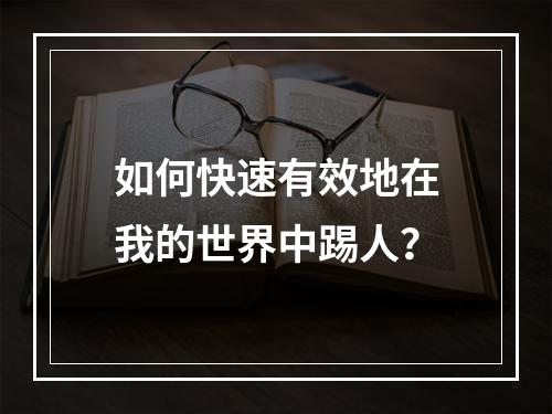 如何快速有效地在我的世界中踢人？