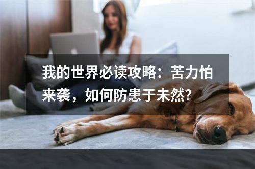 我的世界必读攻略：苦力怕来袭，如何防患于未然？