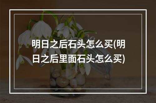 明日之后石头怎么买(明日之后里面石头怎么买)