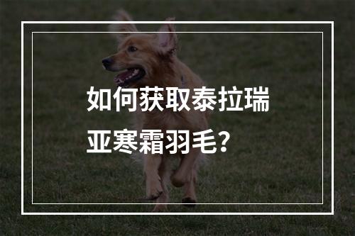 如何获取泰拉瑞亚寒霜羽毛？