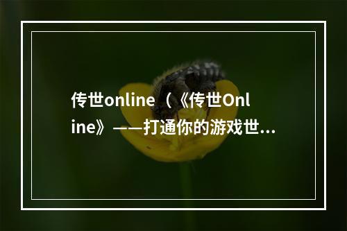 传世online（《传世Online》——打通你的游戏世界）